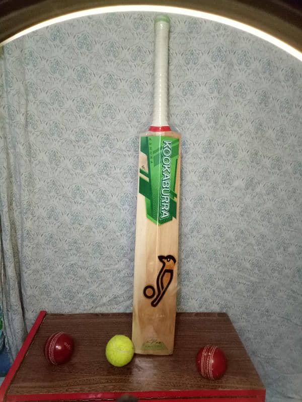 hard ball bat 3