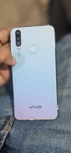 Vivo