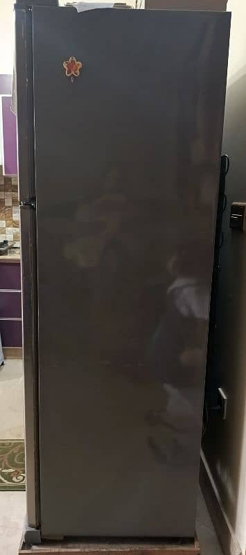 full size fridge 2