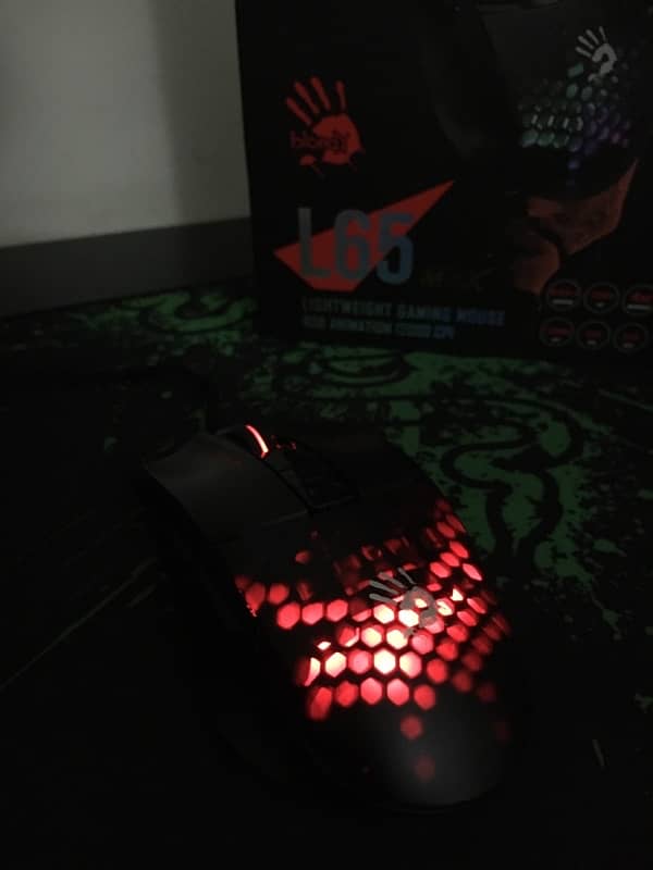 Bloody Lightweight Gaming Mouse 1