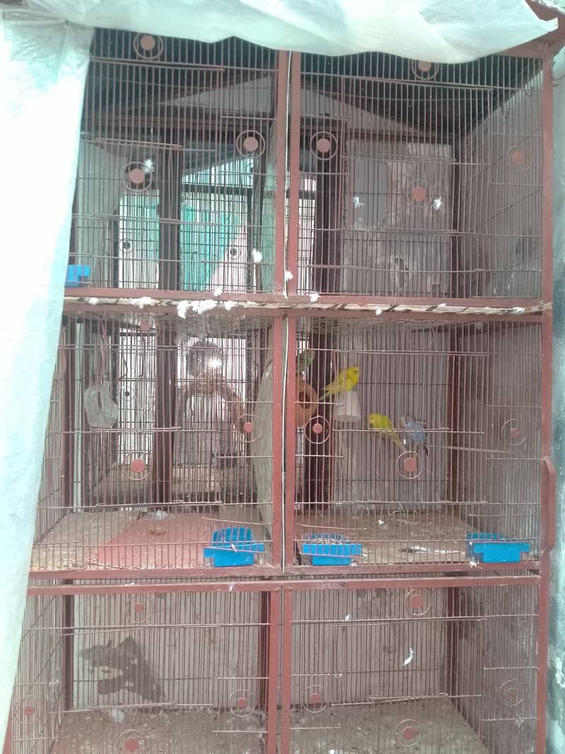 8 position cage 2