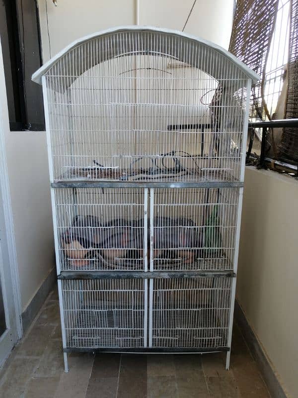 big bird cage 0