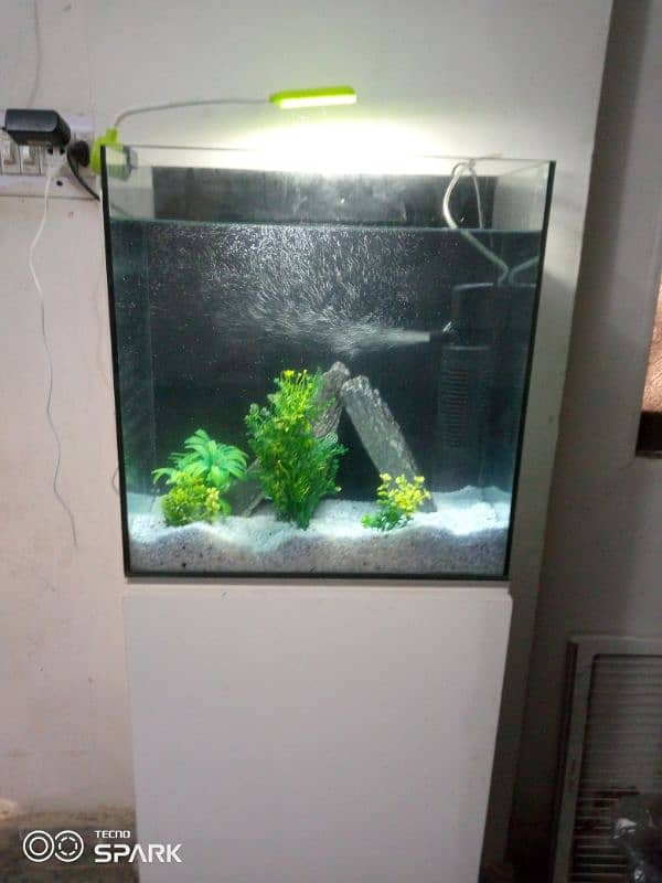 fish aquarium 0