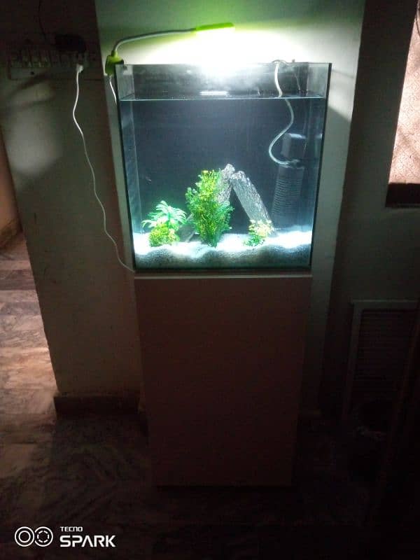 fish aquarium 1