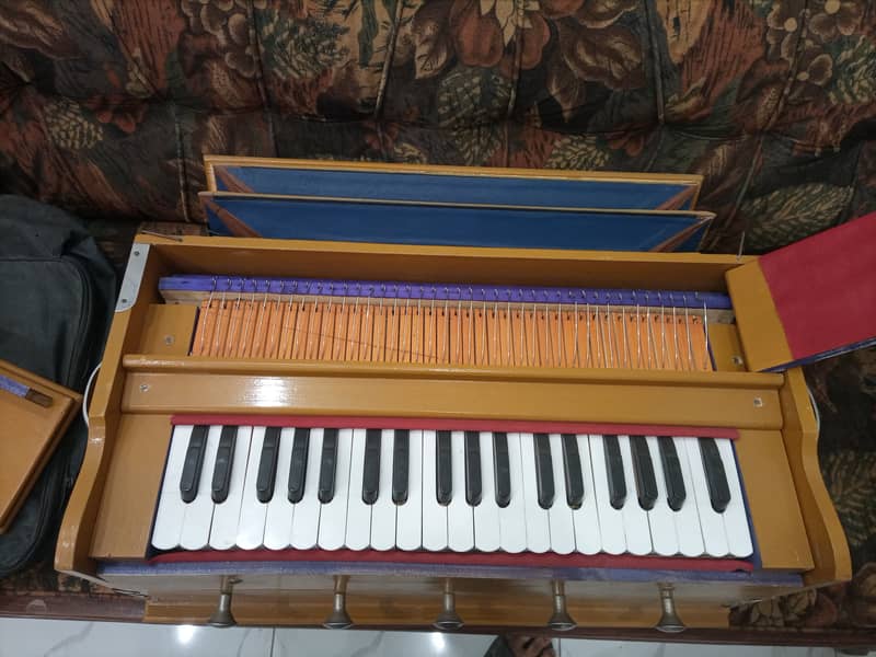 Harmonium brand new 1