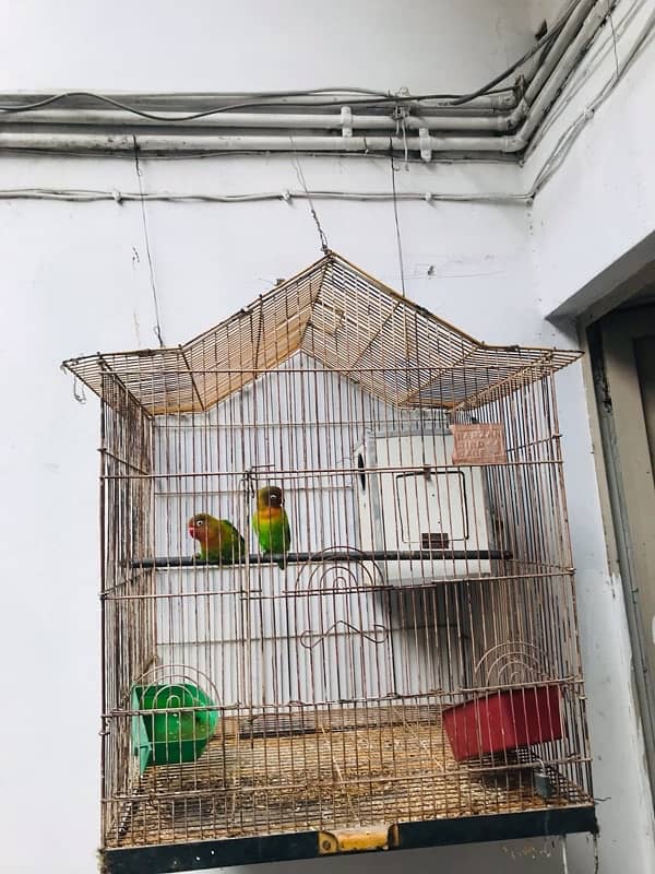 fisher pair and cage 0