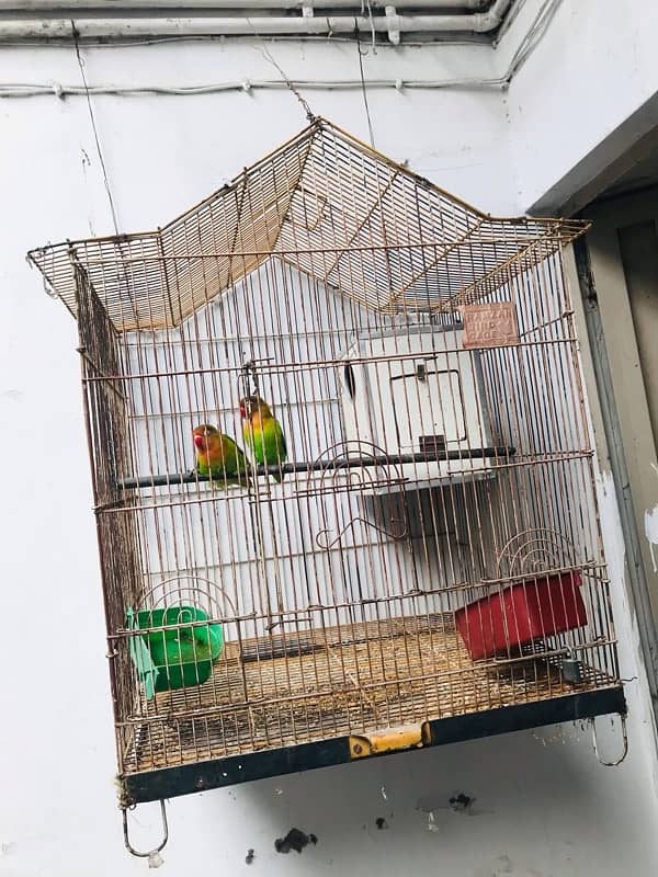 fisher pair and cage 5