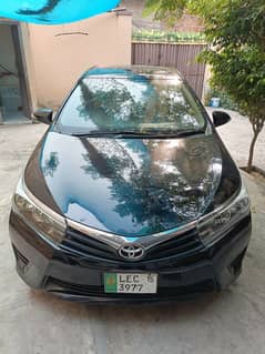 Toyota Corolla XLI 2015