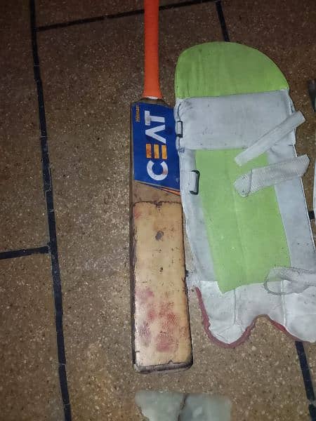 hardball cricket bat plus pads 4