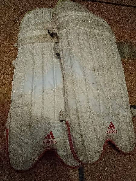 hardball cricket bat plus pads 5