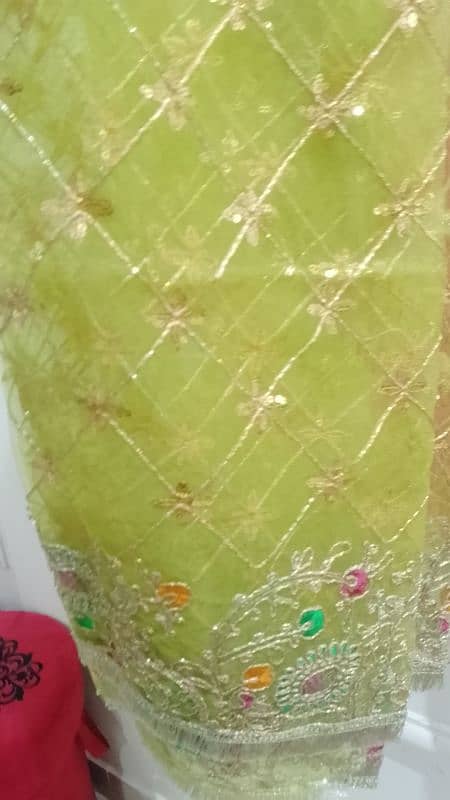 choli lehenga mehndi wear 2