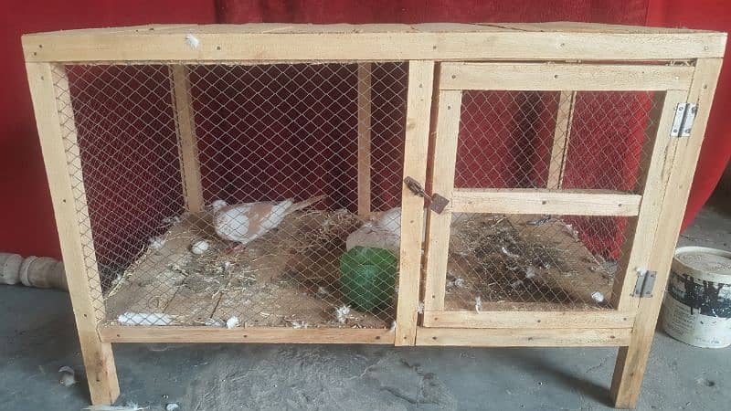 Dove Breader Pair And Cage For Sale 3