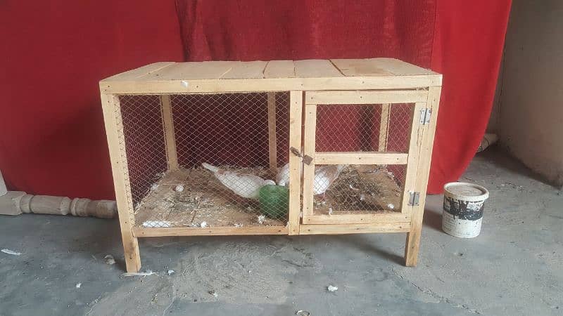 Dove Breader Pair And Cage For Sale 5