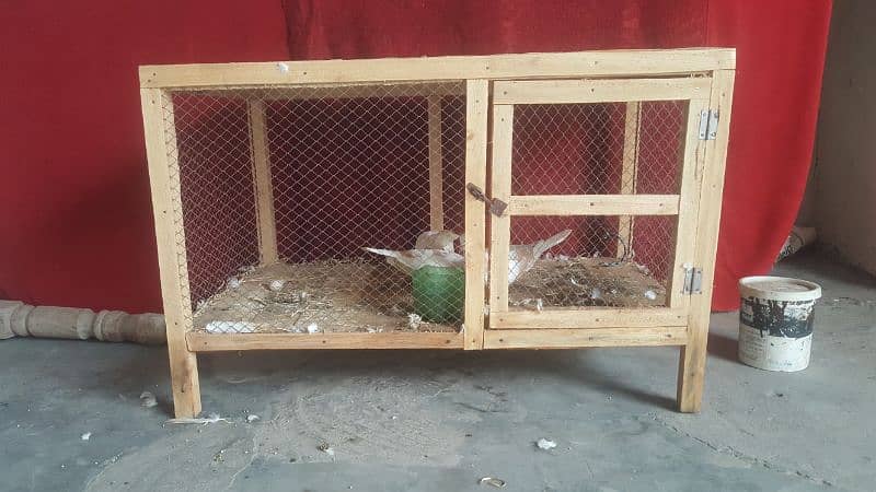 Dove Breader Pair And Cage For Sale 8