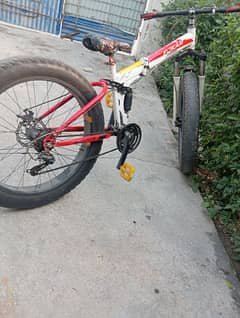 Fat bike for sale