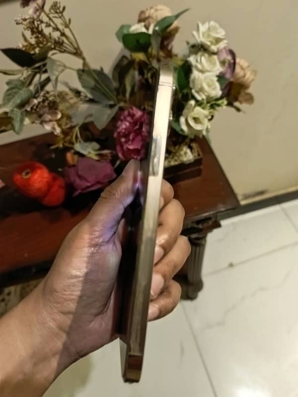 Iphone 12 Pro Max 256 PTA approved 5