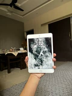 ipad mini 5