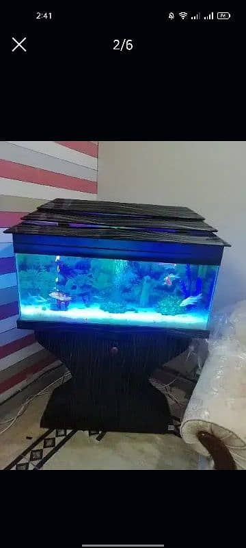 Fish Aquarium maintenance/Service 1