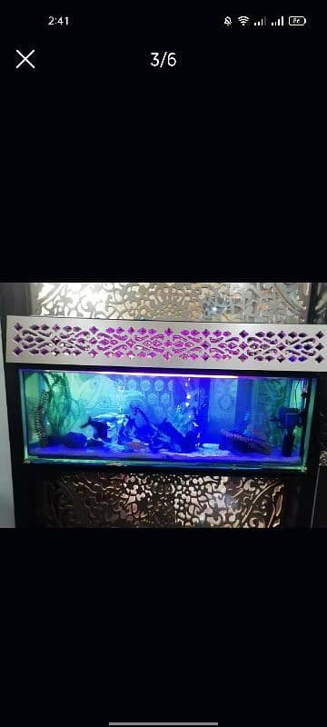 Fish Aquarium maintenance/Service 2