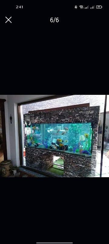 Fish Aquarium maintenance/Service 5