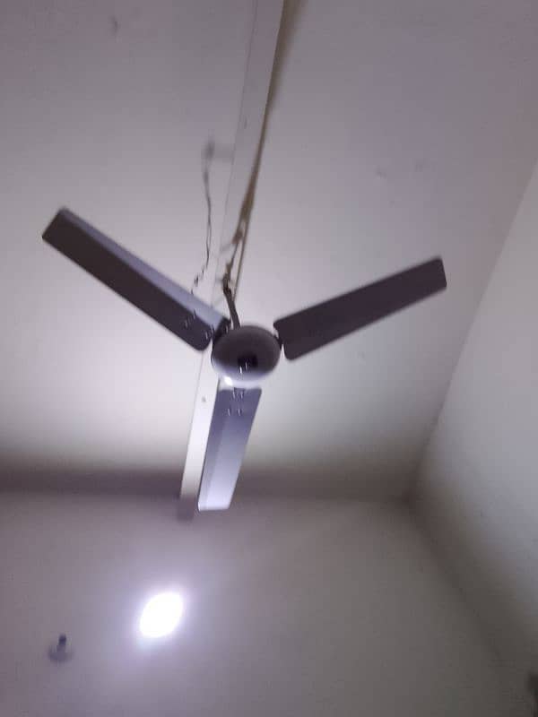 fan bilcol ok ha urgent sale My WhatsApp 03270131992 0