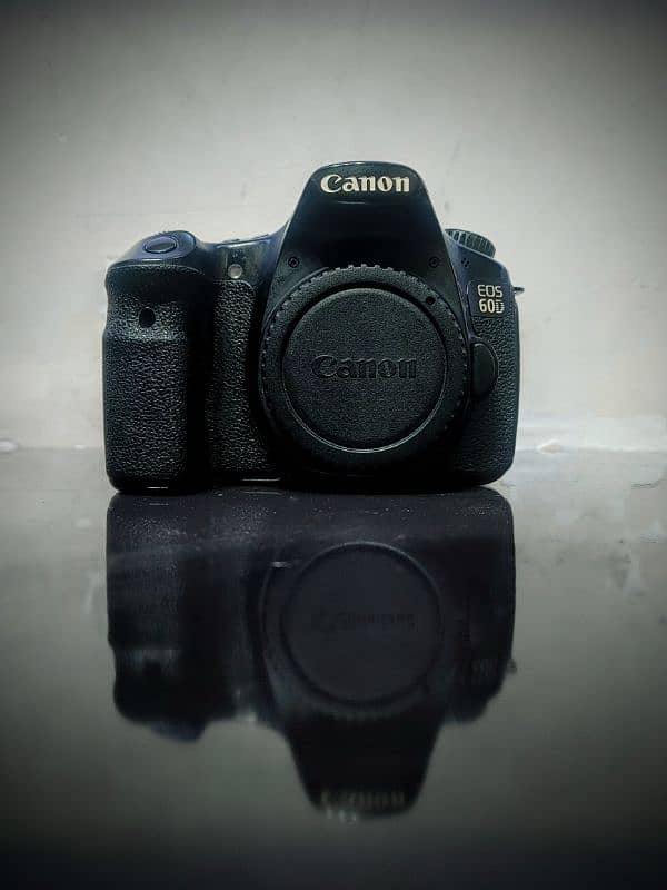 canon 60d with tamron 17-200 lens 0