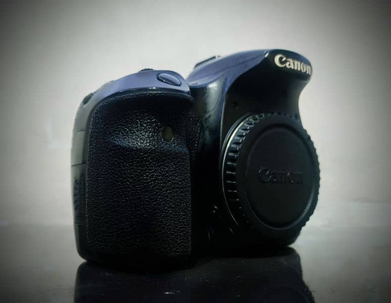 canon 60d with tamron 17-200 lens 1