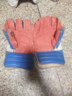 Wicket keeping Gloves