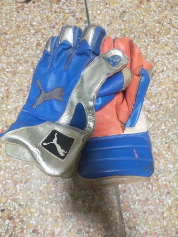 Wicket keeping Gloves 1