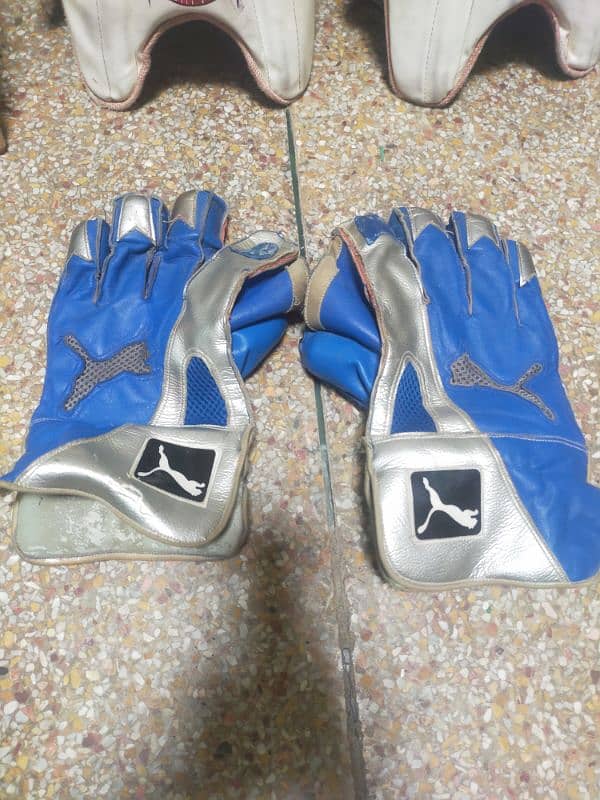 Wicket keeping Gloves 2