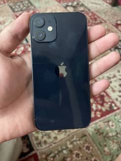 iPhone 12 mini