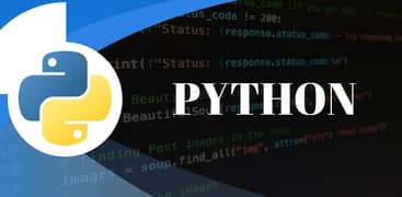 Expert Computer Courses & Tutoring – Web Python, MS Office, Amazon VA,