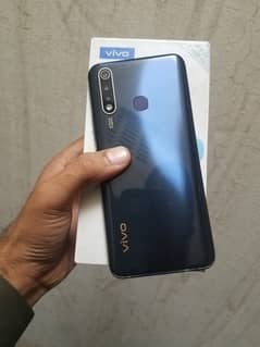 vivo