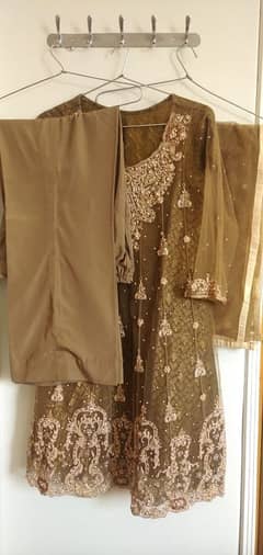 mehndi baraat formal party wear embroidered silk tissue chiffon dress