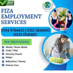 domestic home employment services