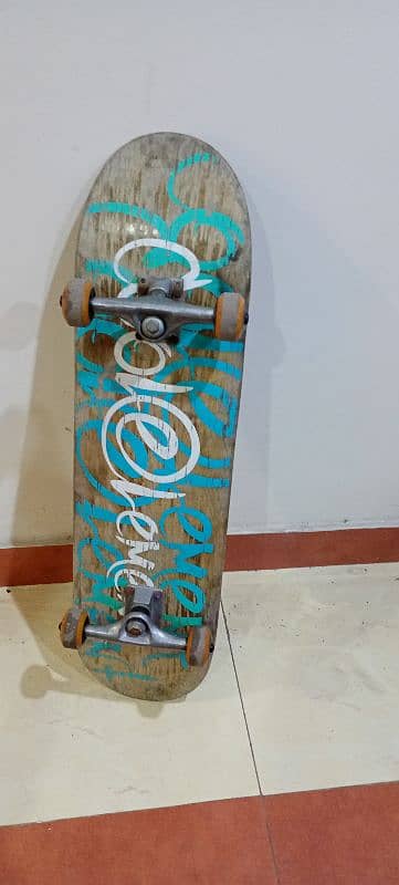 malaysian bought skateboard 1