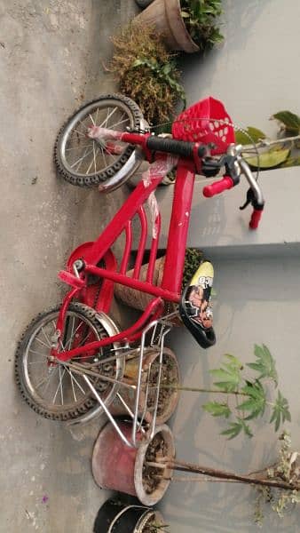 kid cycle 5