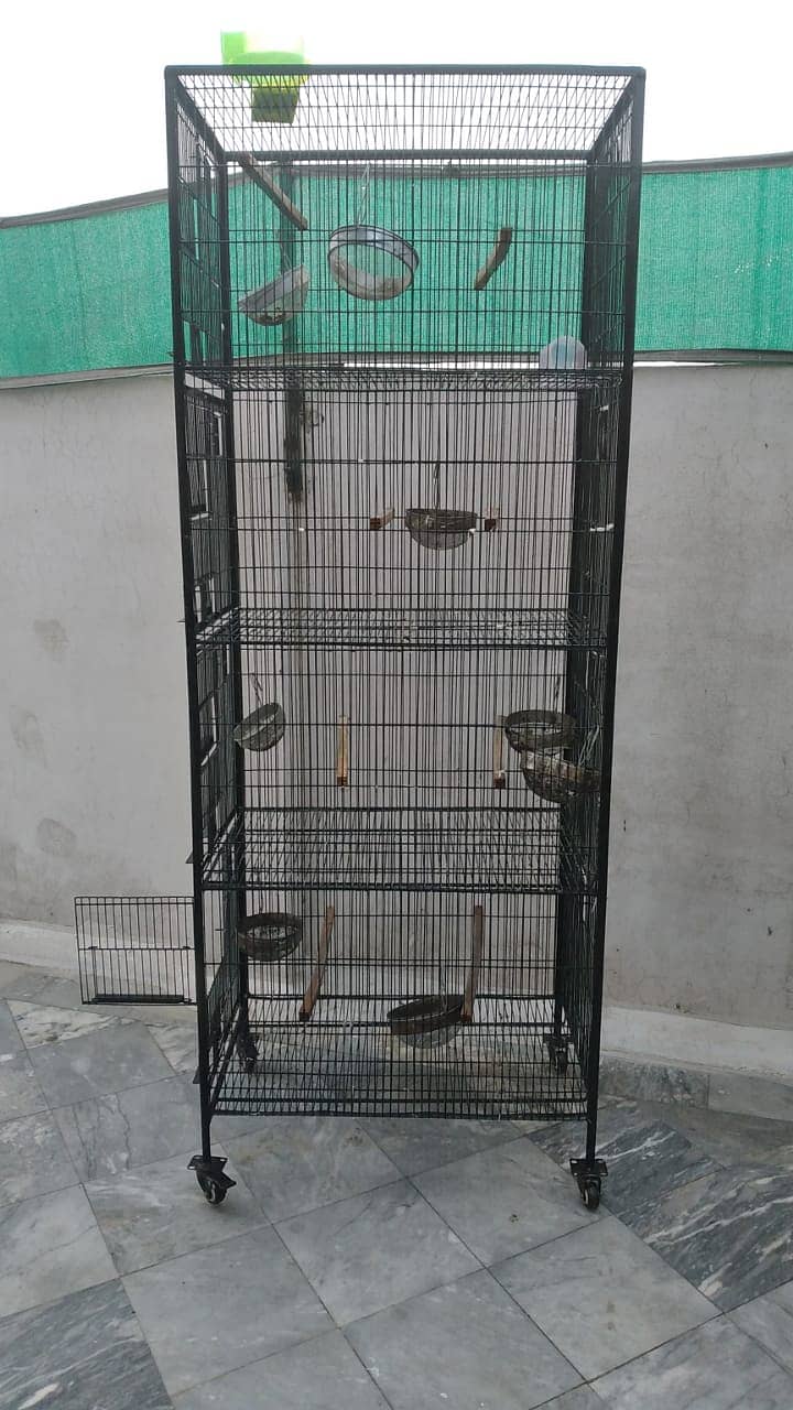 Birds cages 0