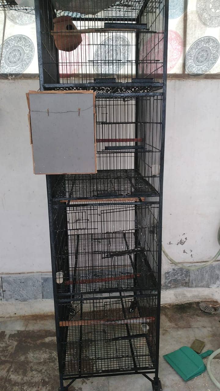 Birds cages 2