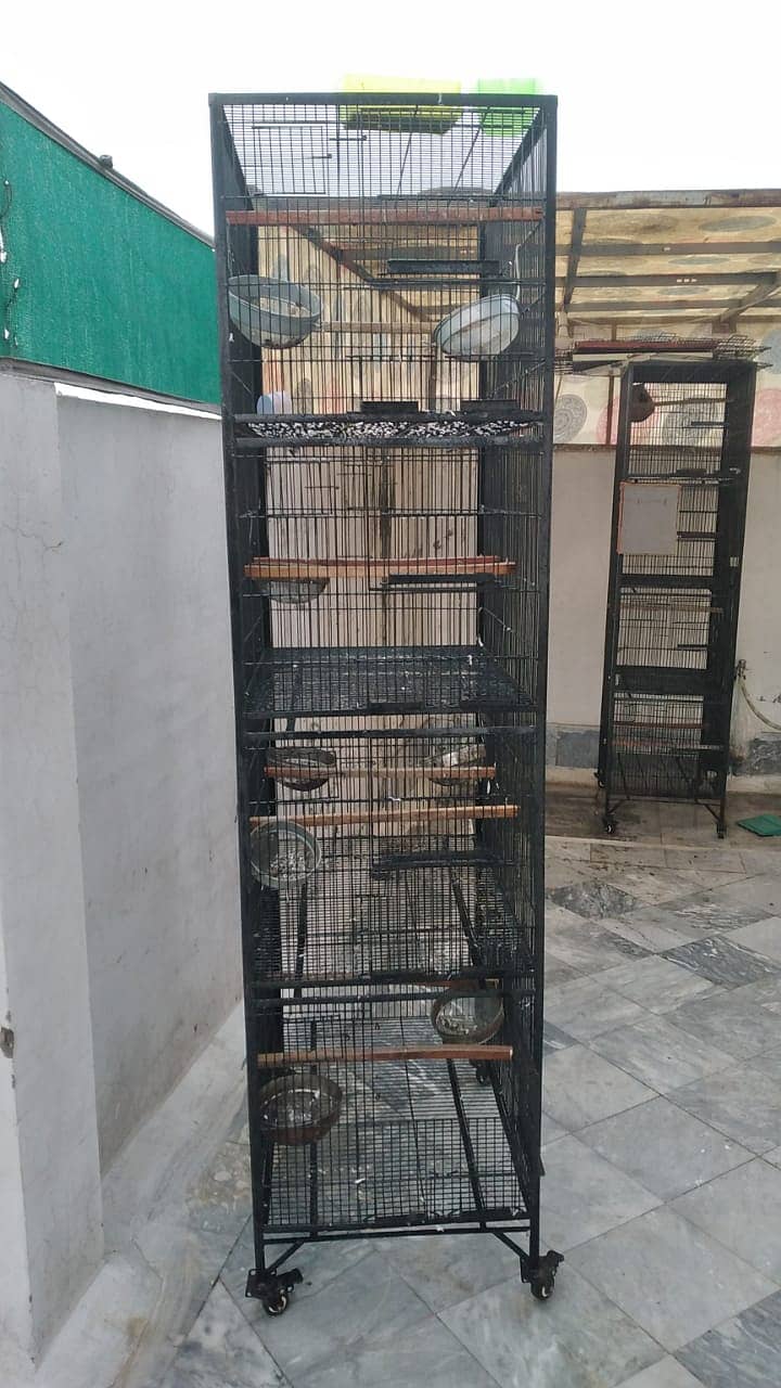 Birds cages 3