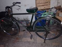 cycle for sale 03005334791