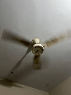 Ceiling fans for sale