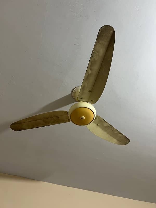 Ceiling fans for sale 1