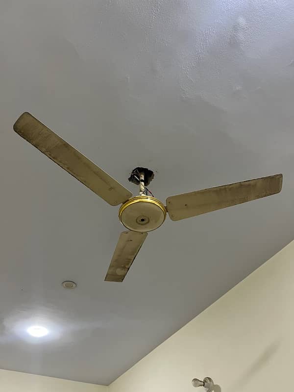 Ceiling fans for sale 2