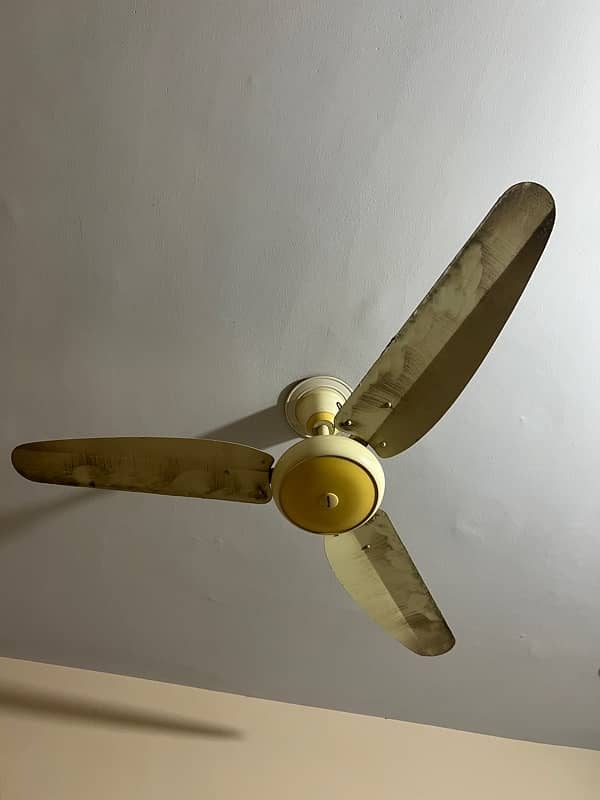 Ceiling fans for sale 3