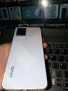 vivo