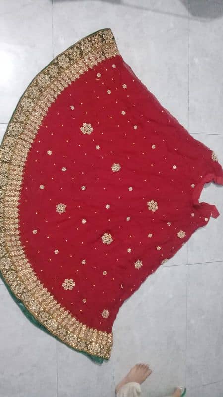 Dupatta choli Sharara 2