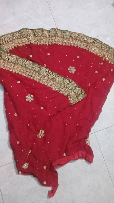 Dupatta choli Sharara 3