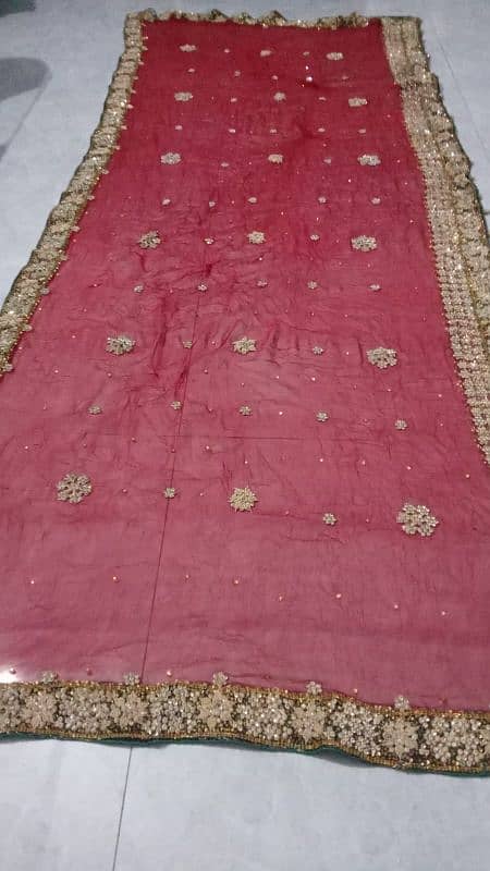 Dupatta choli Sharara 6