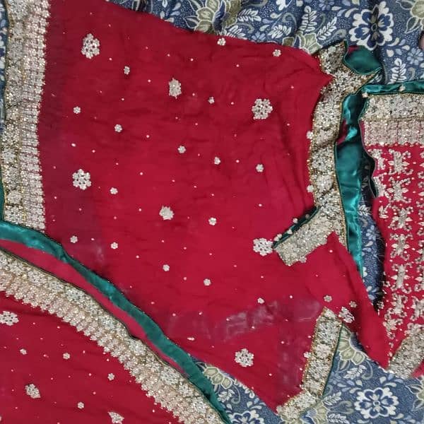 Dupatta choli Sharara 8